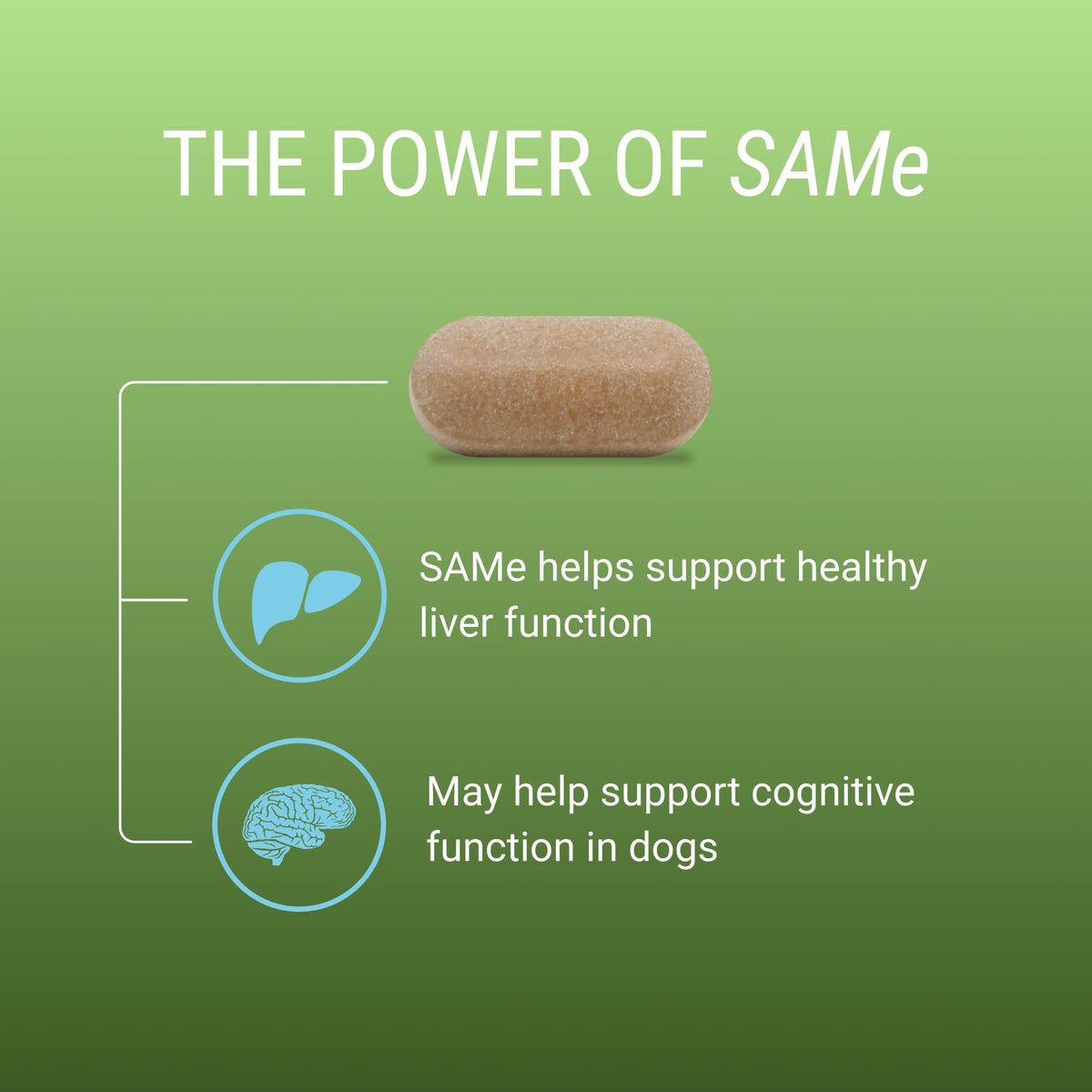 Liver & Brain Supplement for Large Dogs, 30ct Tablets Z8737