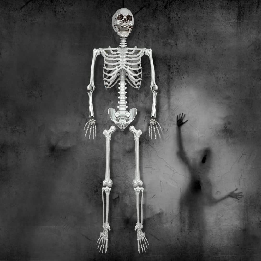 5.4Ft Life Size Human Skeleton with Movable Joints Z56299