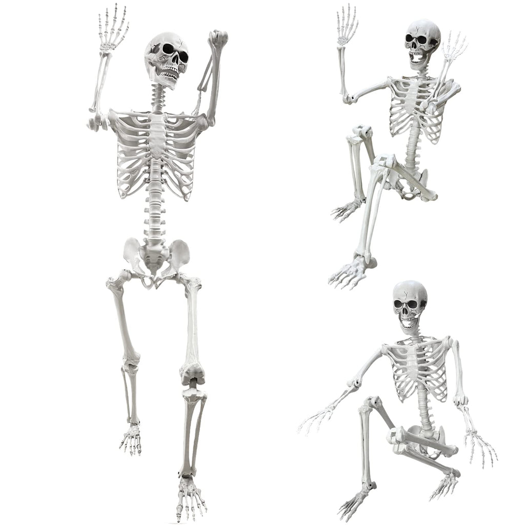 5.4Ft Life Size Human Skeleton with Movable Joints Z56299