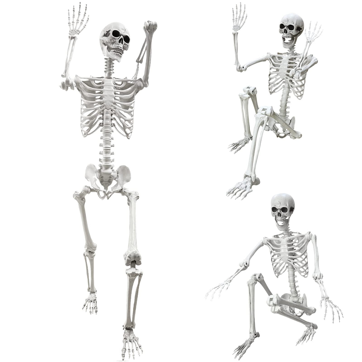 5.4Ft Life Size Human Skeleton with Movable Joints Z56299