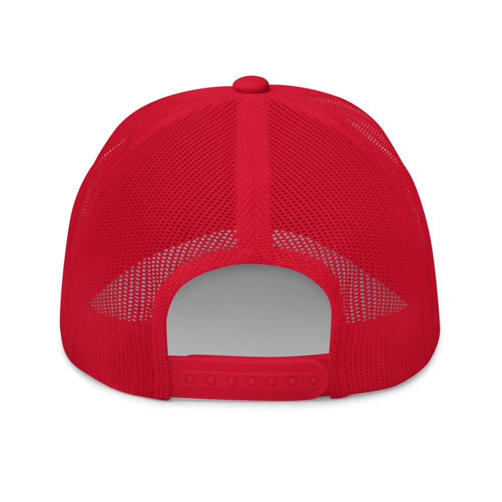 2nd Amendment Hat L565