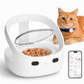 Wet & Dry Food Cat Feeder K932981