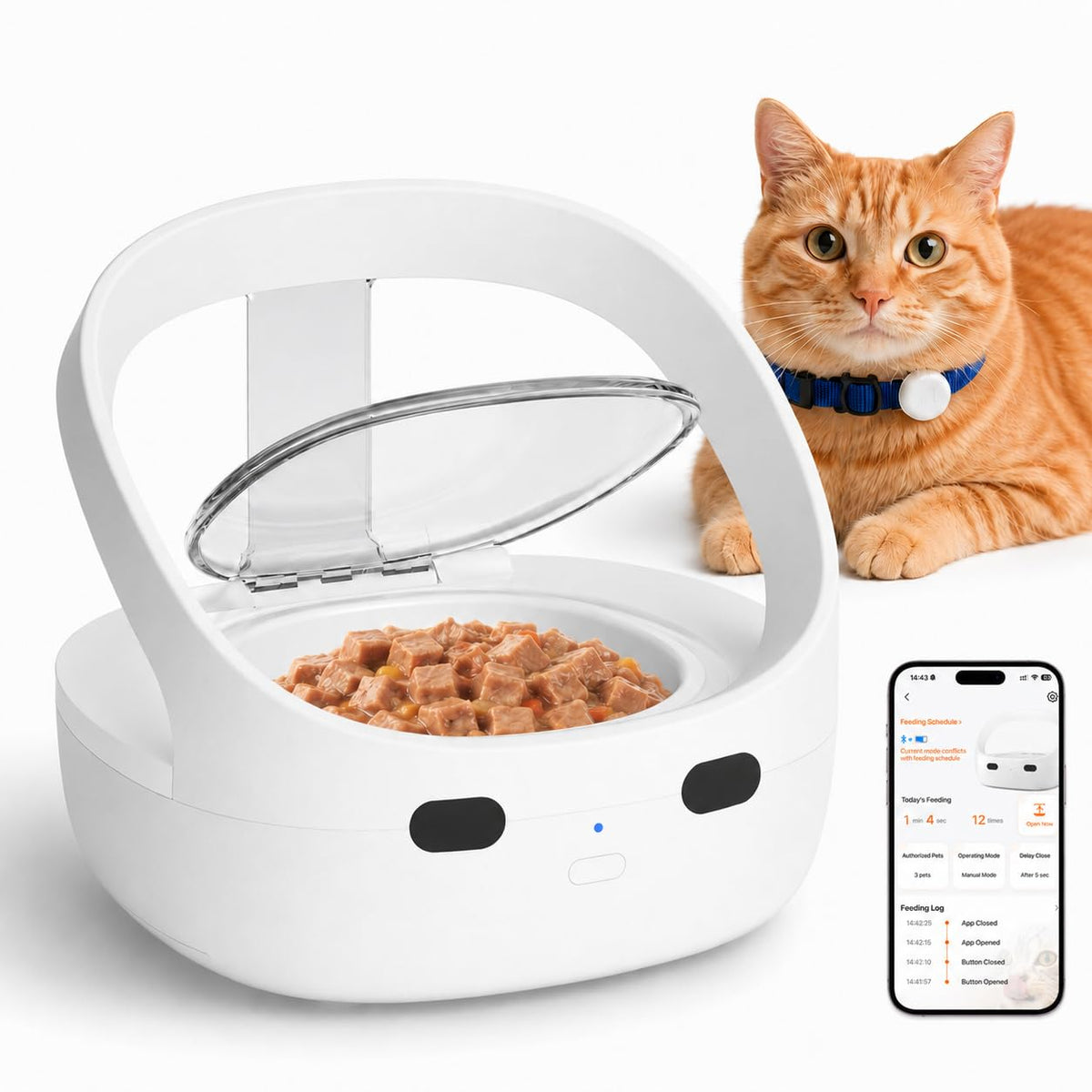 Wet & Dry Food Cat Feeder K932981