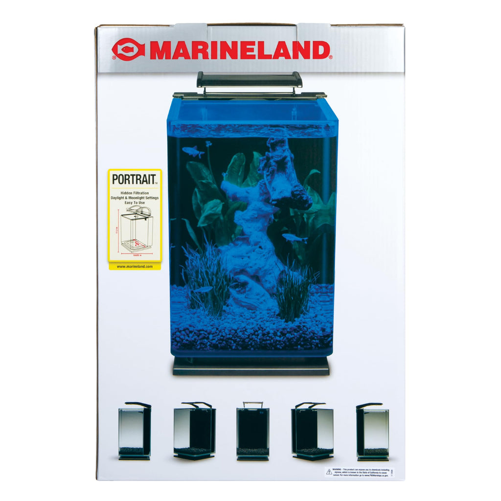 Glass LED Aquarium Kit, 5 Gallons, Hidden Filtration, Black B5266