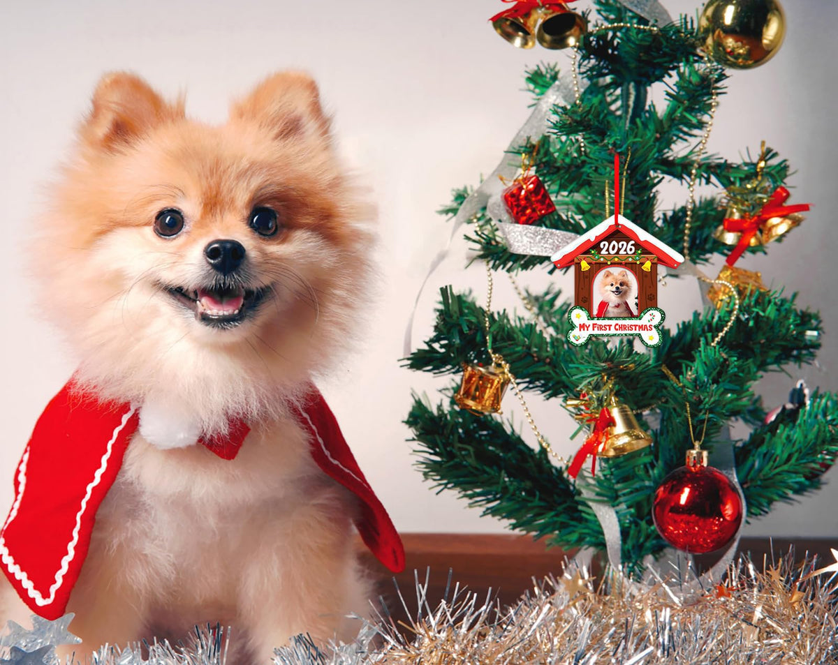 Dog Picture Frame Ornament M598