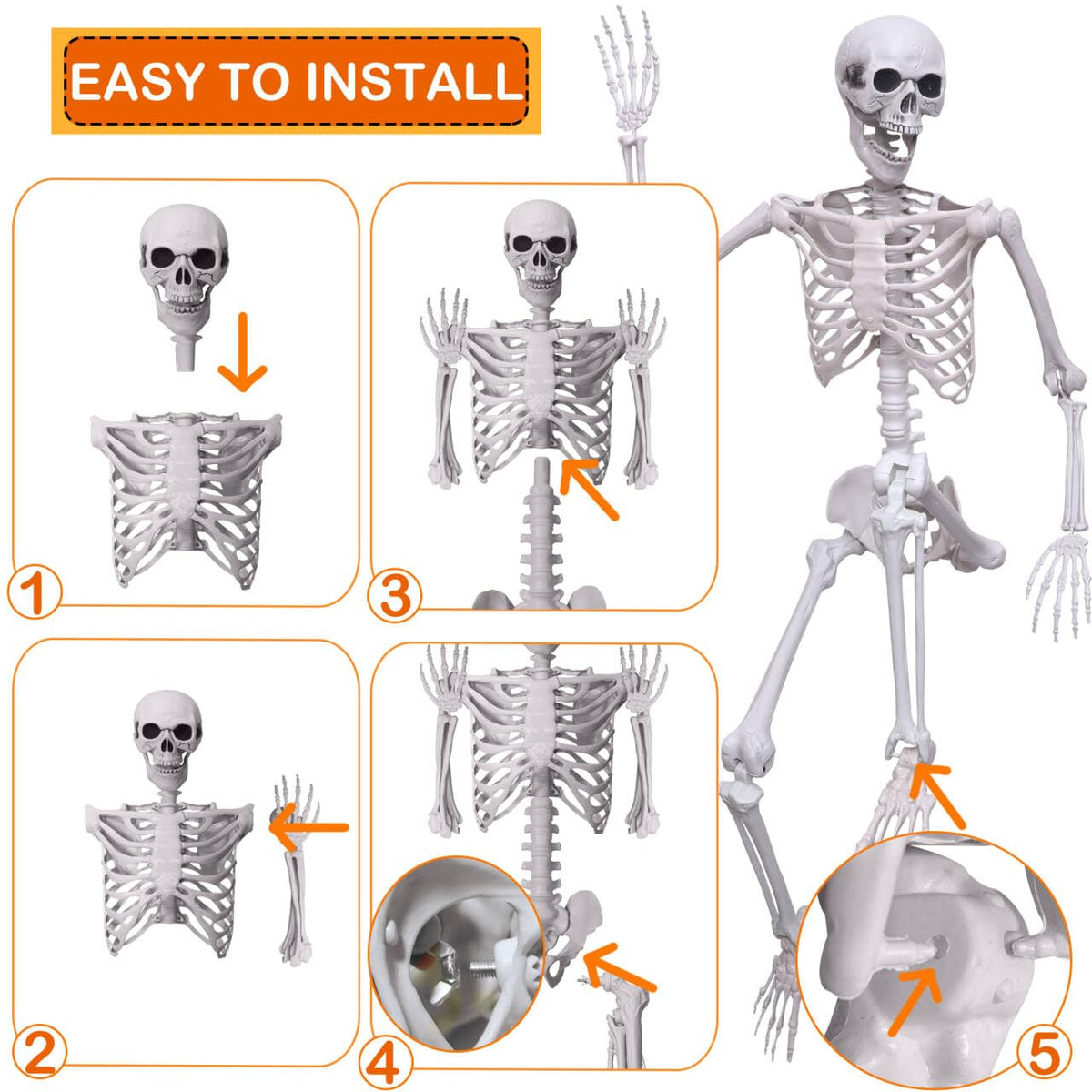 5.4Ft Life Size Human Skeleton with Movable Joints Z56299
