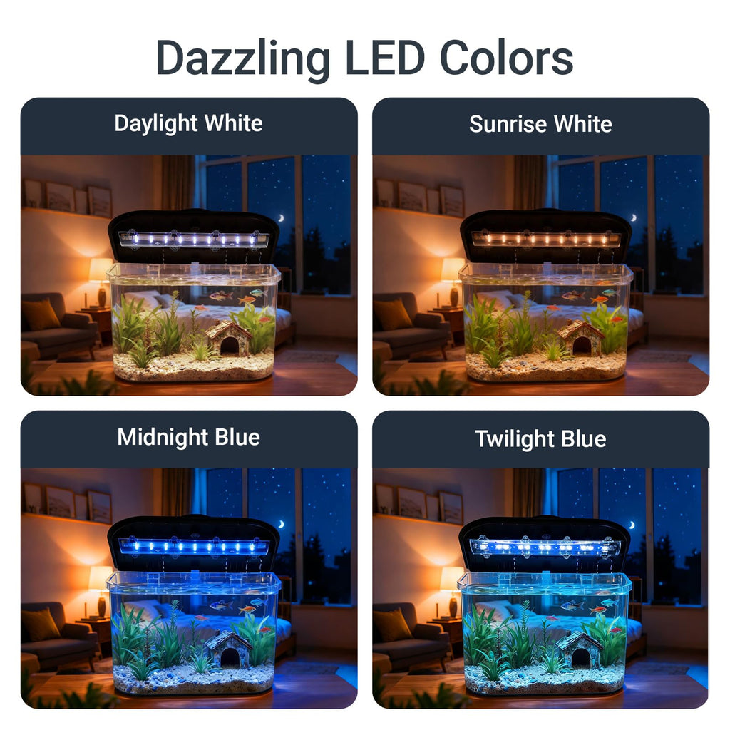 5-Gallon Aquarium Kit with LED Lighting and Power Filter D7591