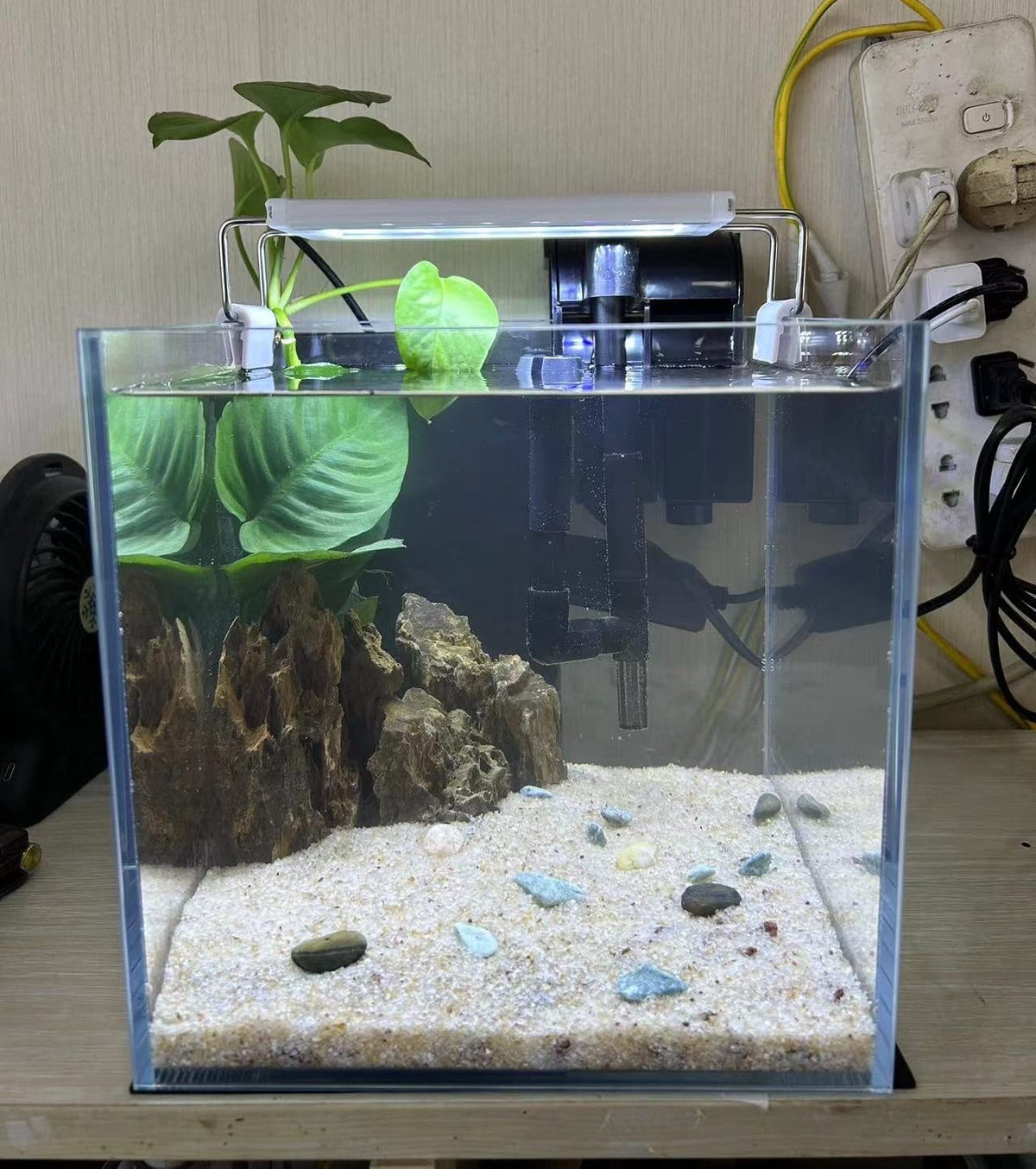 Small Nano Tall Rimless Glass Fish Tank 2 Gallon Q332