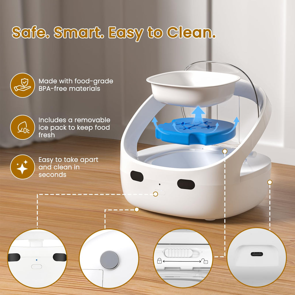 Wet & Dry Food Cat Feeder K932981
