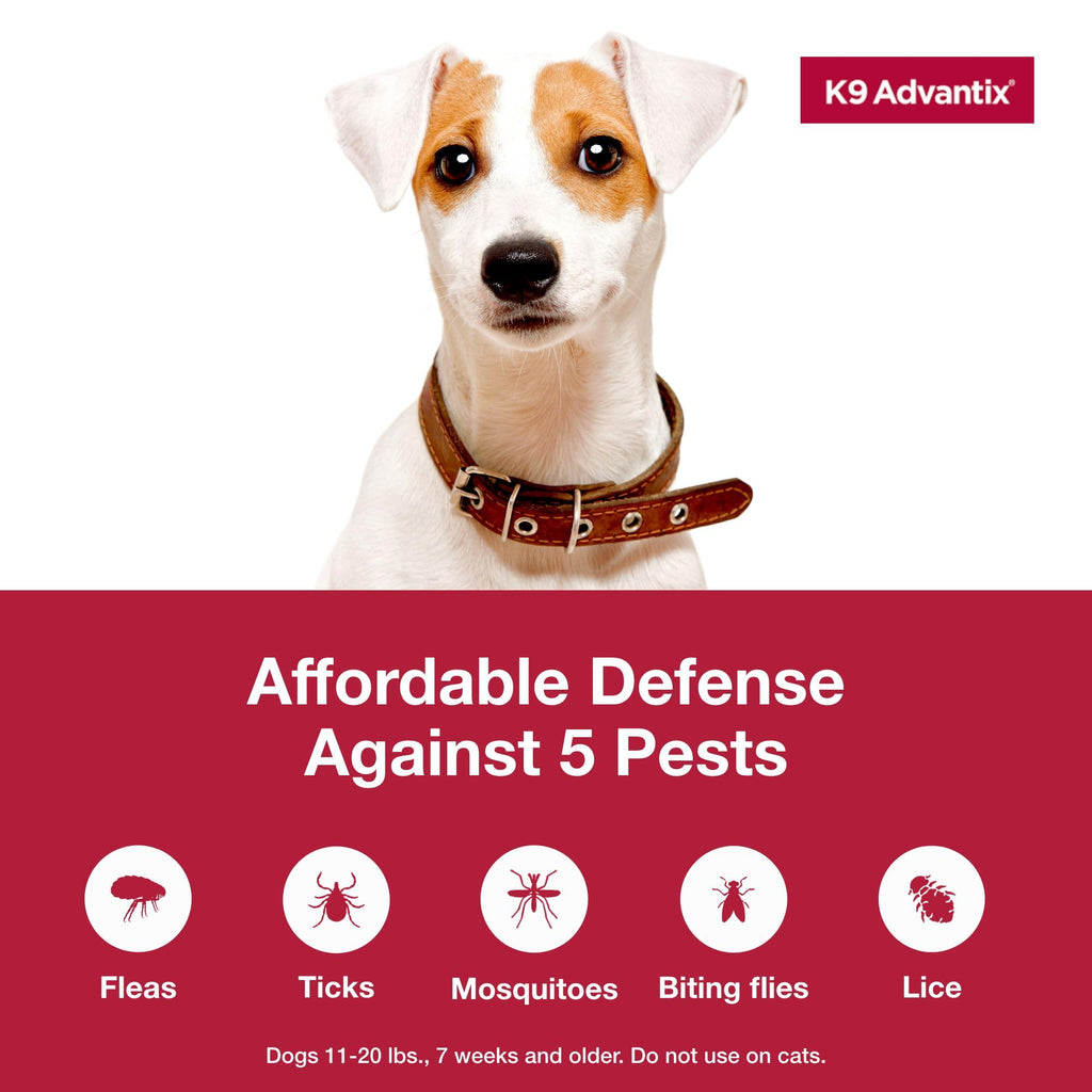 Flea and Tick Prevention Drops for Dogs 11-20 lbs D525597