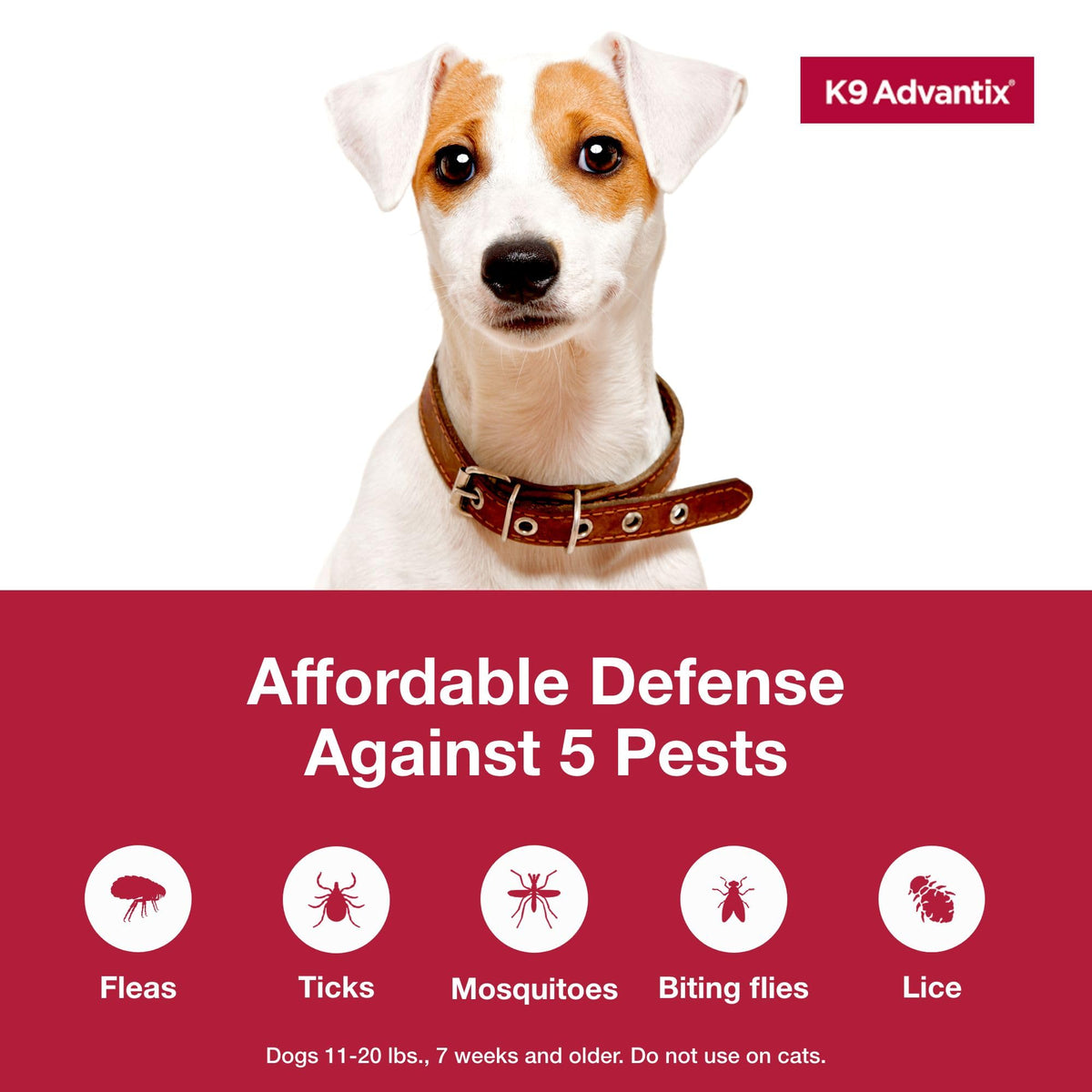 Flea and Tick Prevention Drops for Dogs 11-20 lbs D525597