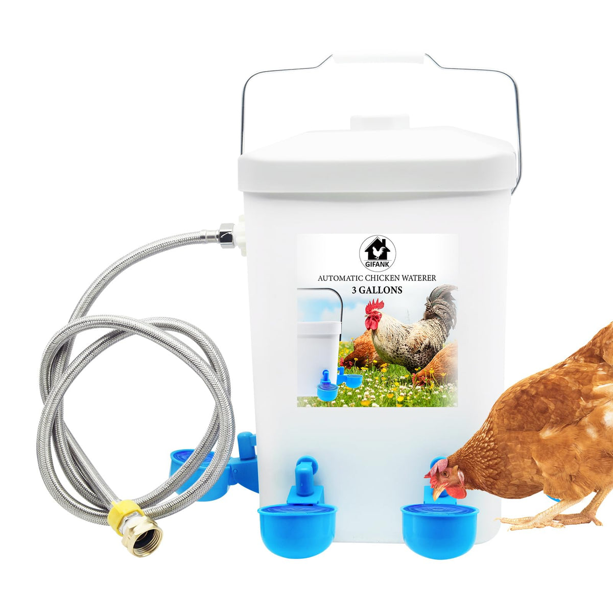 3 Gallons Automatic Poultry Waterer with Hose Attachment P450