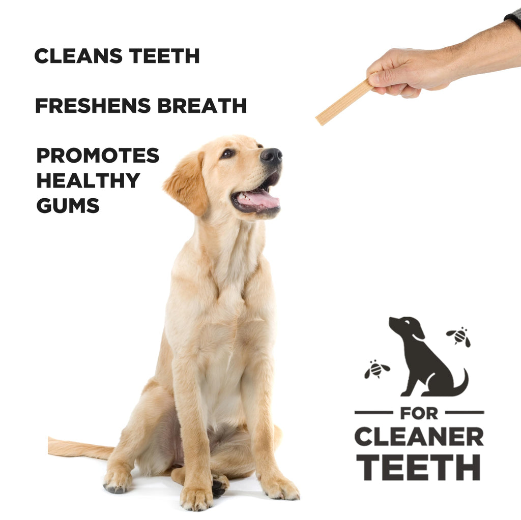Vegetarian Dental Dog Treats 7 oz U529