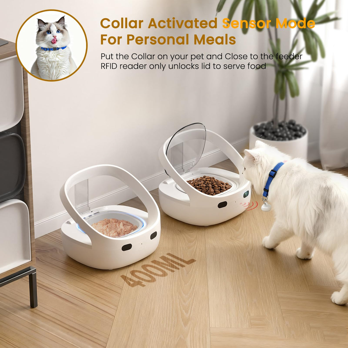 Wet & Dry Food Cat Feeder K932981