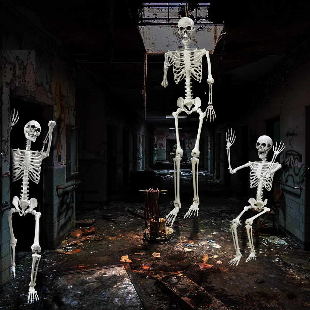 5.4Ft Life Size Human Skeleton with Movable Joints Z56299