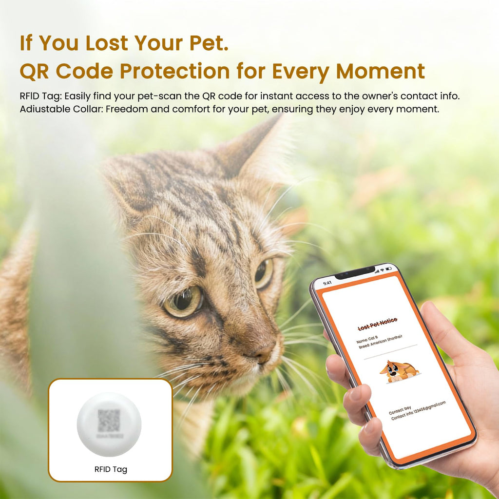 Wet & Dry Food Cat Feeder K932981