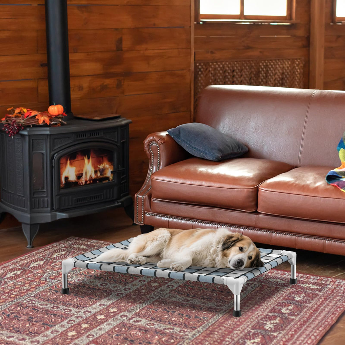 Elevated Outdoor Raised Dog Bed V72344