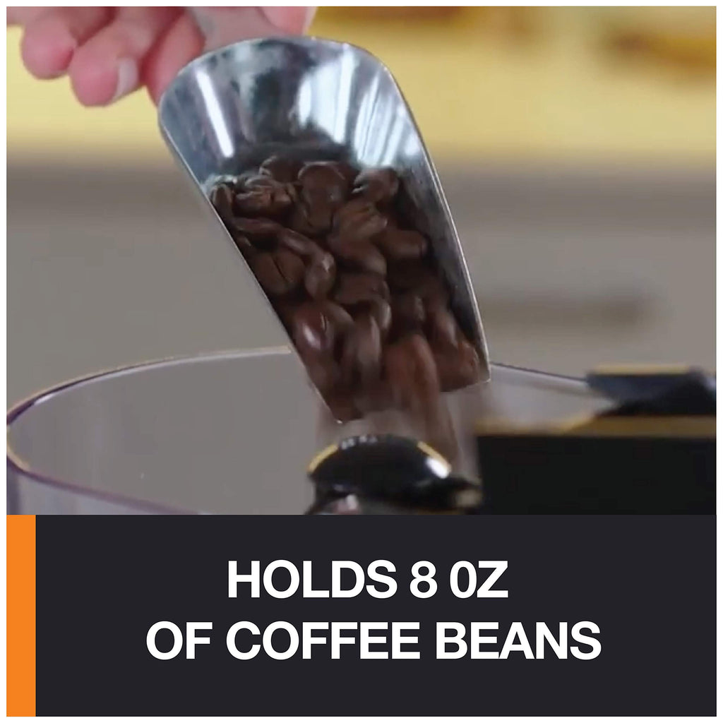 Burr Coffee Grinder 12 Settings 8 oz Stainless Steel C686