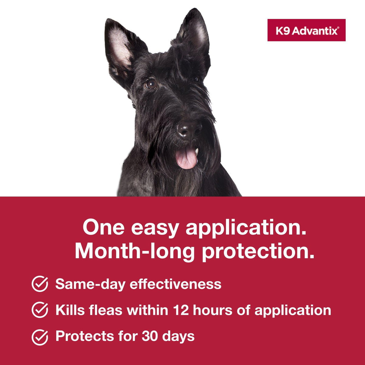 Flea and Tick Prevention Drops for Dogs 11-20 lbs D525597