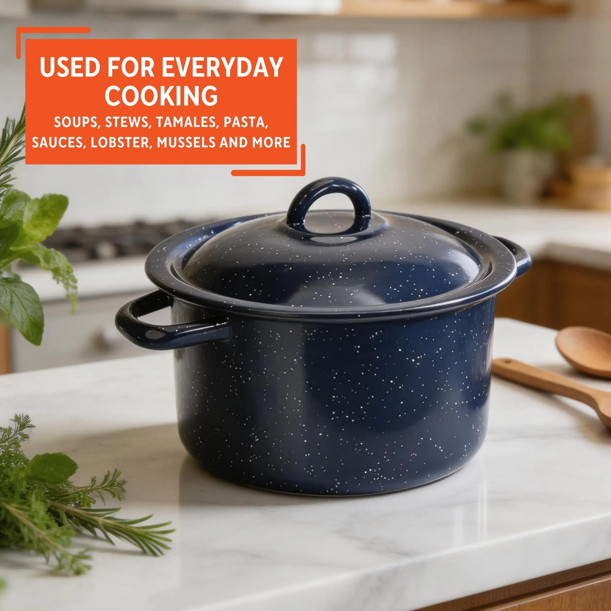 6 Qt Enamel Stock Pot T944