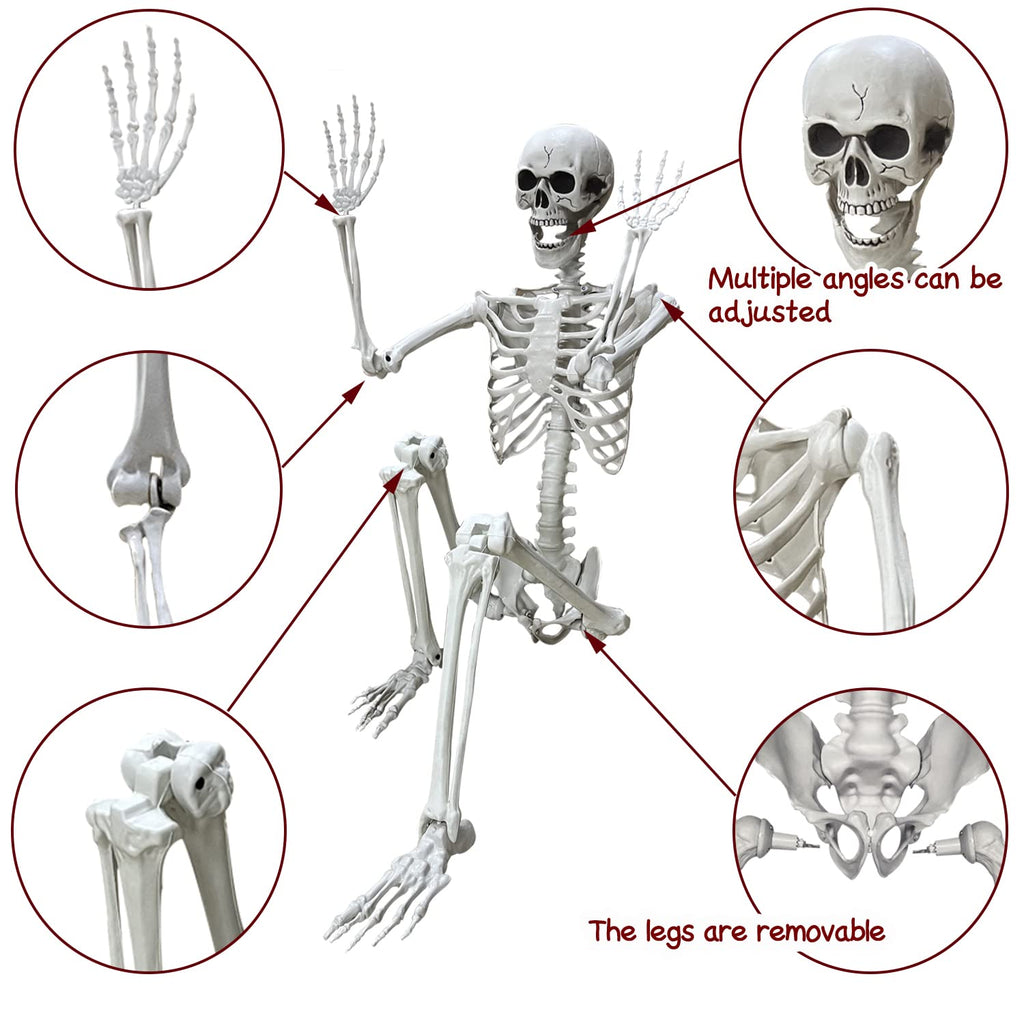 5.4Ft Life Size Human Skeleton with Movable Joints Z56299