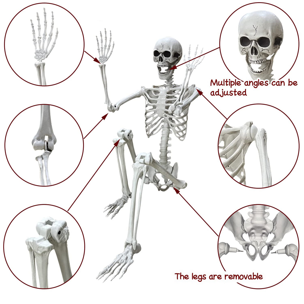 5.4Ft Life Size Human Skeleton with Movable Joints Z56299
