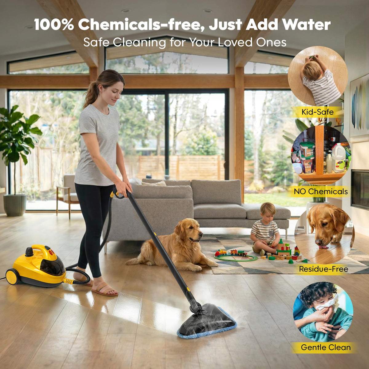 Heavy-Duty Steam Cleaner B23586