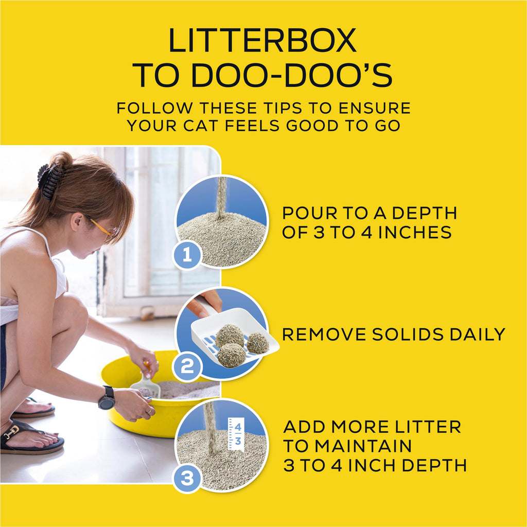 17 lb Lightweight Cat Litter Z1897