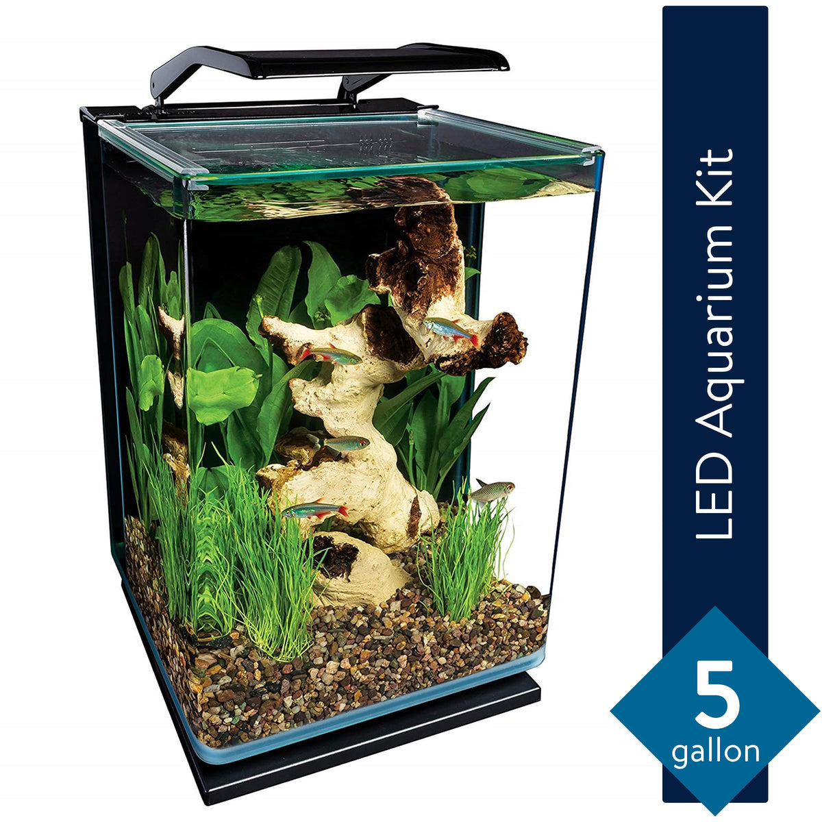 Glass LED Aquarium Kit, 5 Gallons, Hidden Filtration, Black B5266