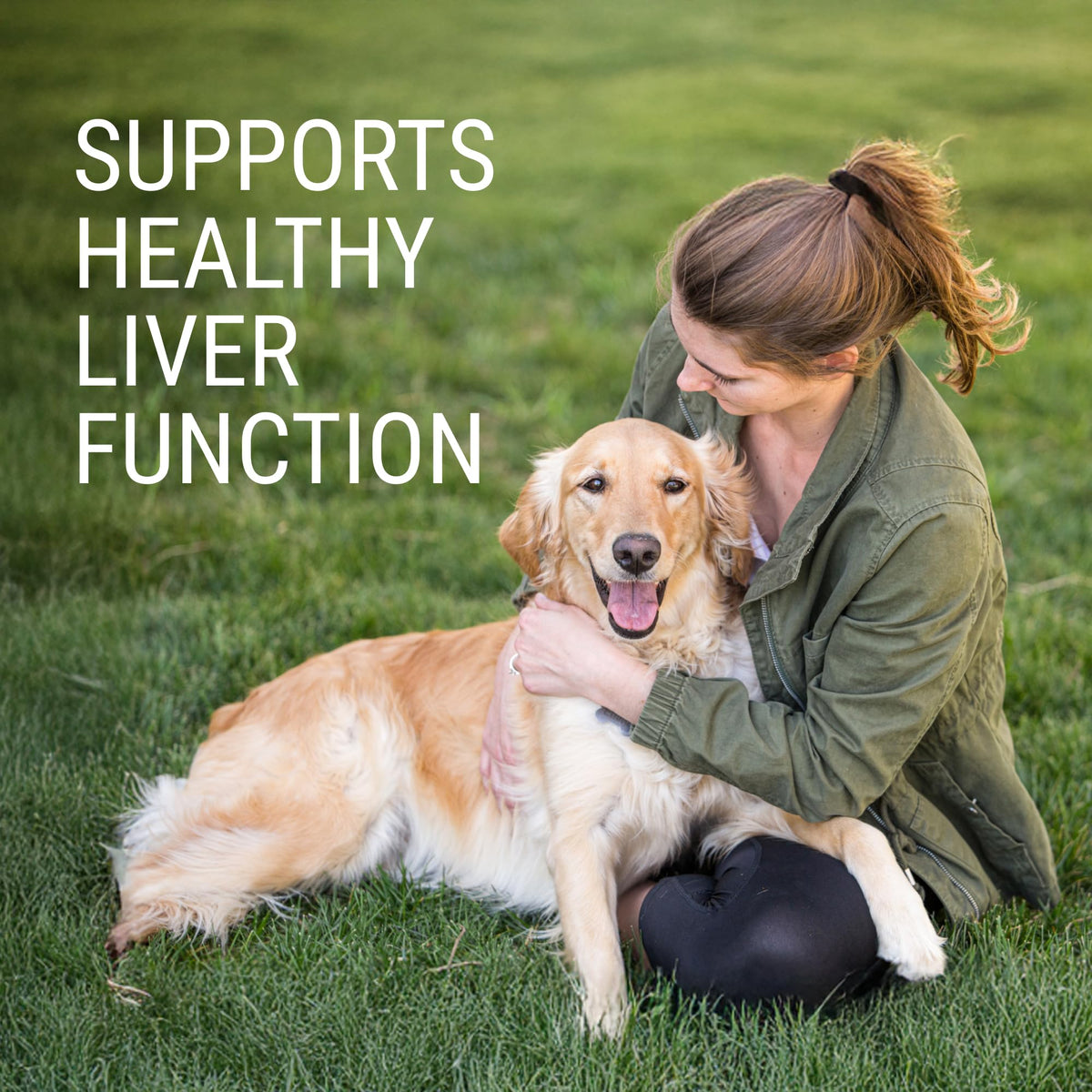 Liver & Brain Supplement for Large Dogs, 30ct Tablets Z8737