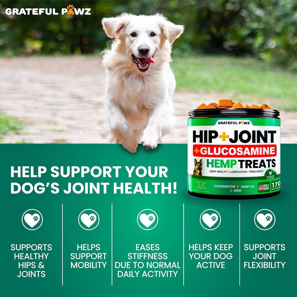 Hemp Hip and Joint Supplement for Dogs 170 Count S36790