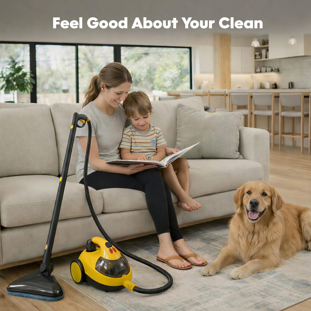Heavy-Duty Steam Cleaner B23586