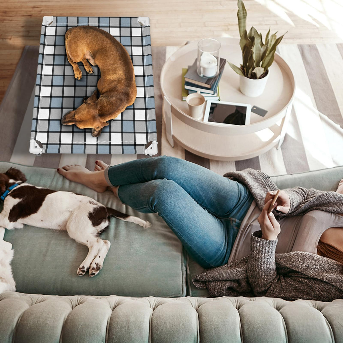 Elevated Outdoor Raised Dog Bed V72344