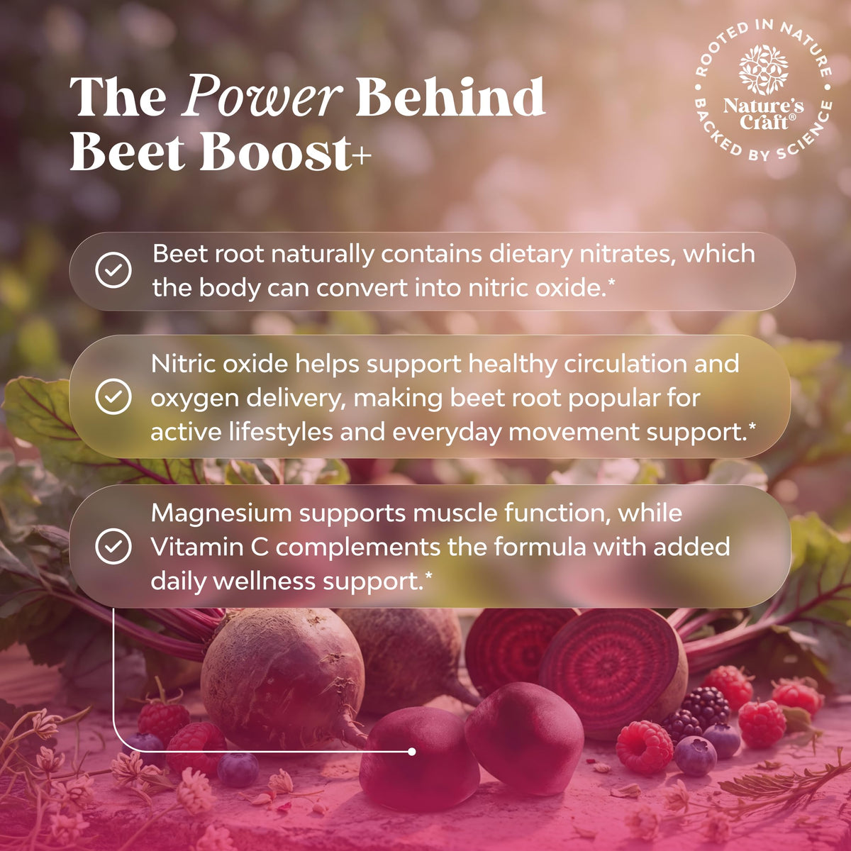 Beet Root Gummies with Vitamin C 60 Ct Z495330