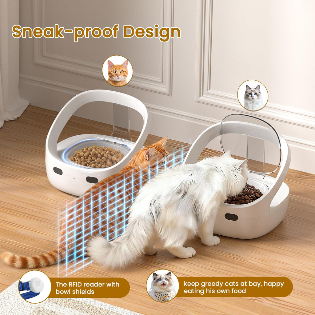 Wet & Dry Food Cat Feeder K932981