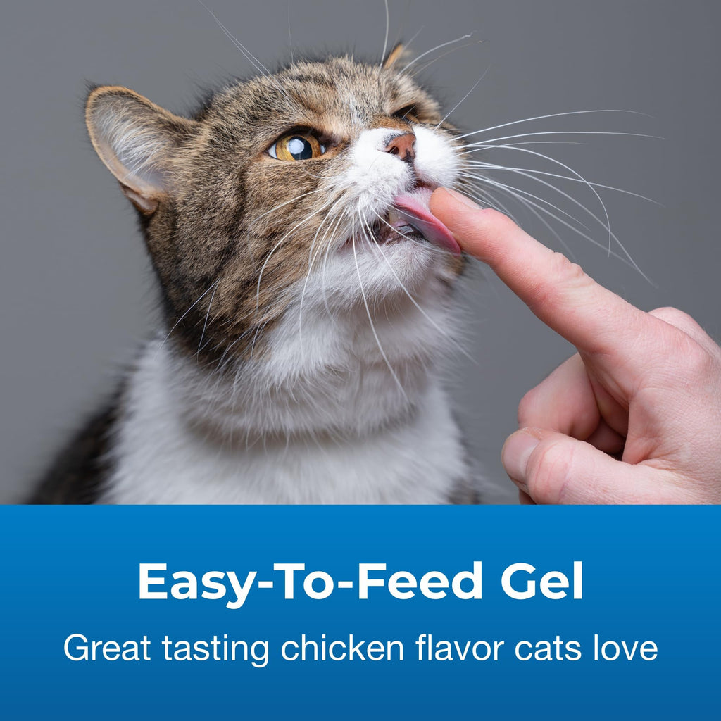 Hairball Gel Supplement for Cats 3.5 oz Pack of 2 X8899