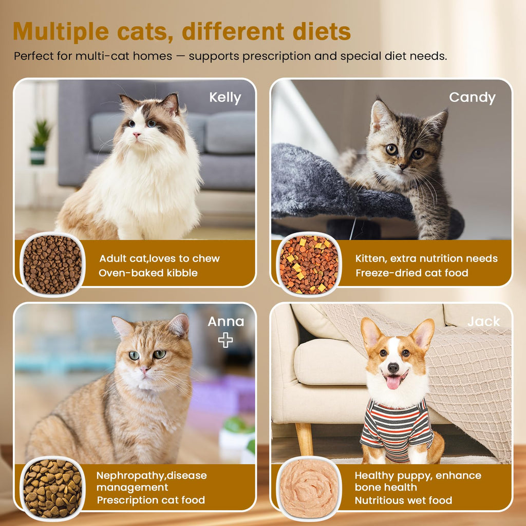 Wet & Dry Food Cat Feeder K932981