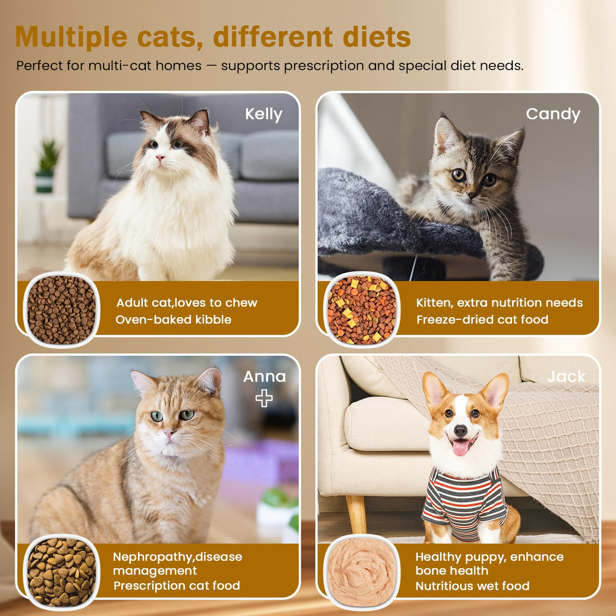 Wet & Dry Food Cat Feeder K932981