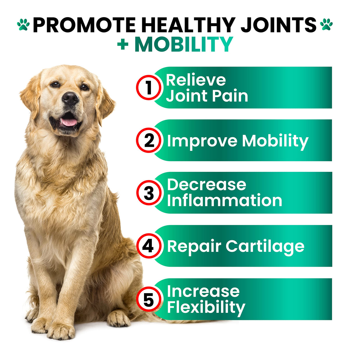 Hemp Hip and Joint Supplement for Dogs 170 Count S36790