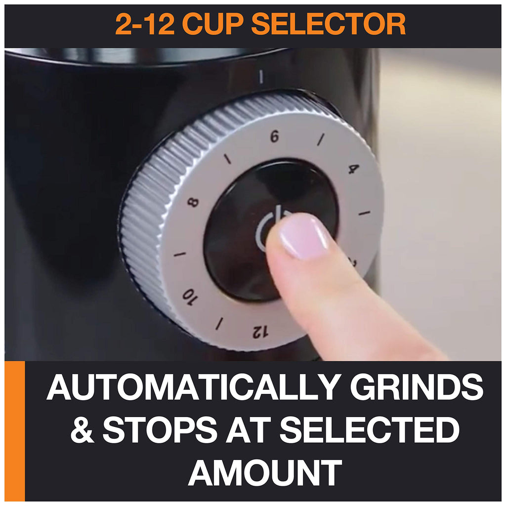 Burr Coffee Grinder 12 Settings 8 oz Stainless Steel C686