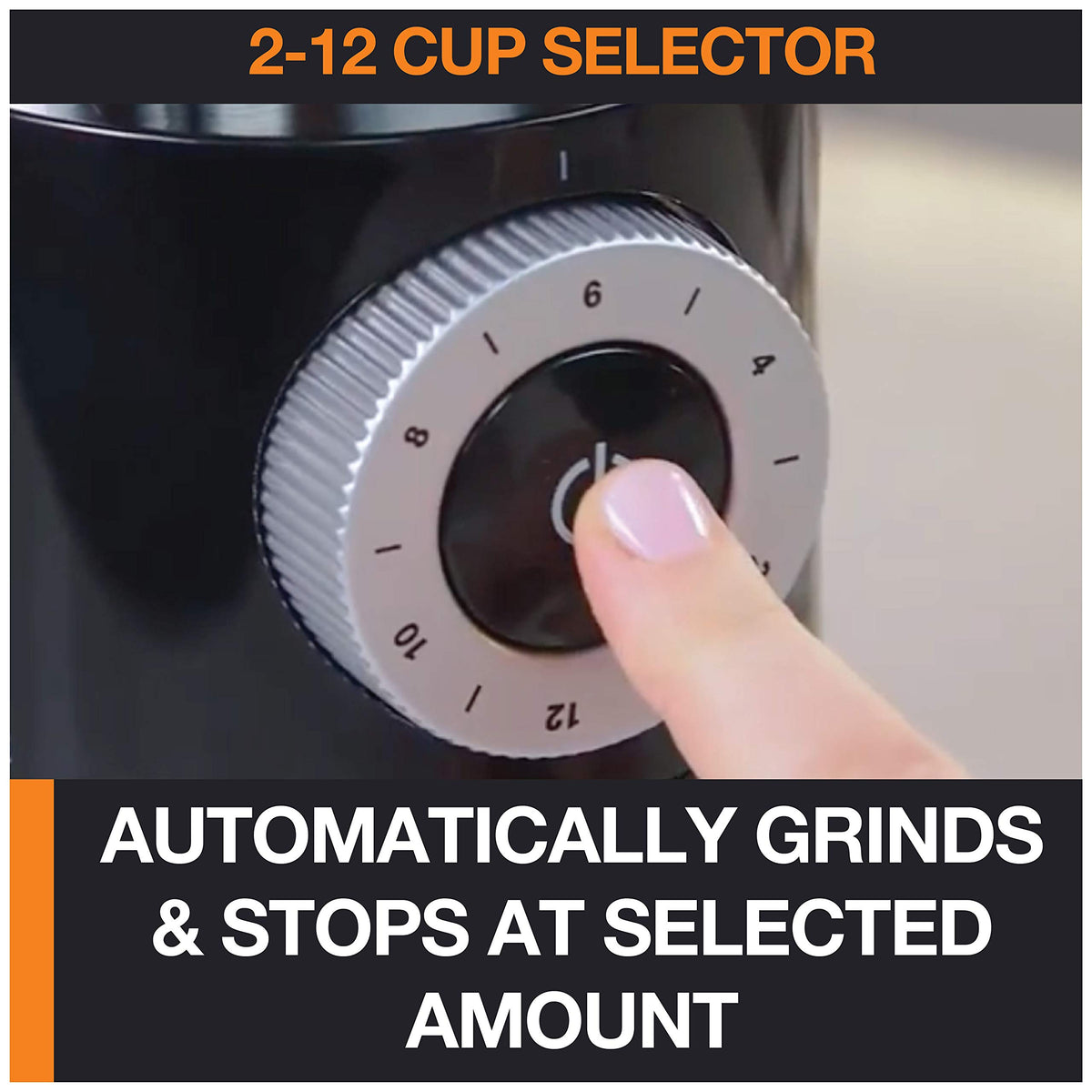 Burr Coffee Grinder 12 Settings 8 oz Stainless Steel C686