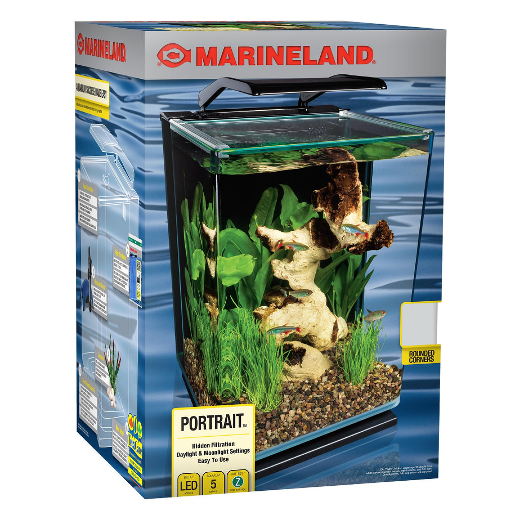 Glass LED Aquarium Kit, 5 Gallons, Hidden Filtration, Black B5266
