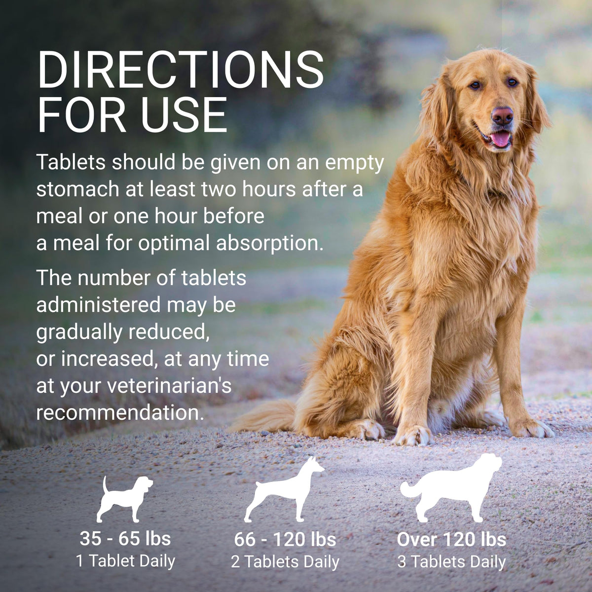 Liver & Brain Supplement for Large Dogs, 30ct Tablets Z8737