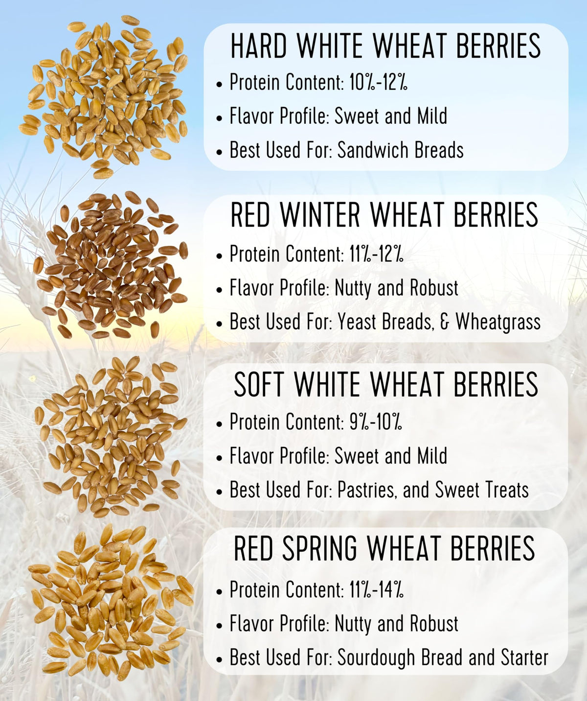 Hard White Wheat Berries 100 lbs S4864