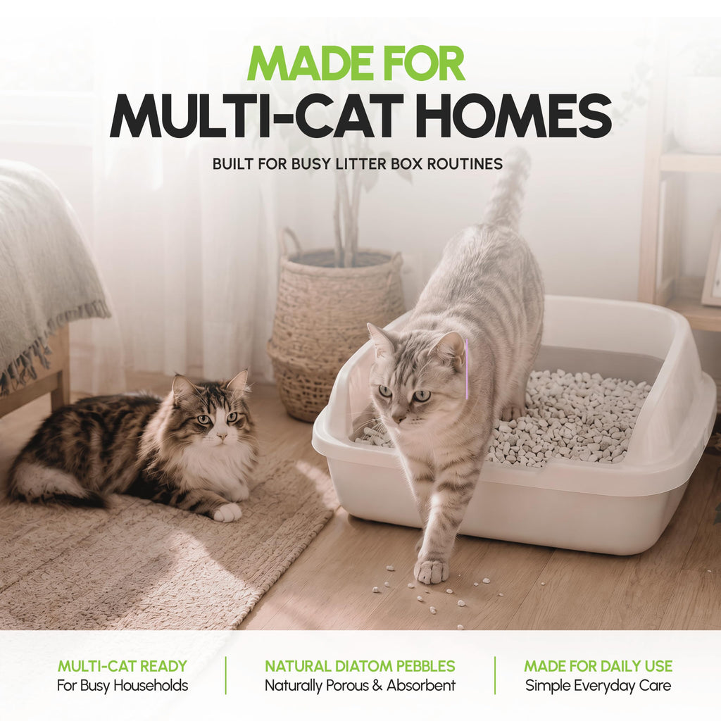All Natural Unscented Cat Litter 8 lbs D247830