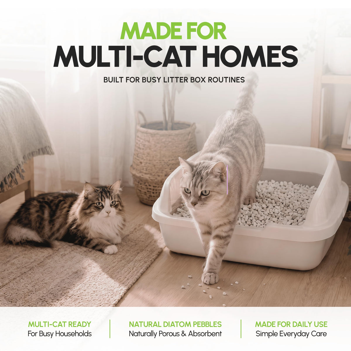 All Natural Unscented Cat Litter 8 lbs D247830