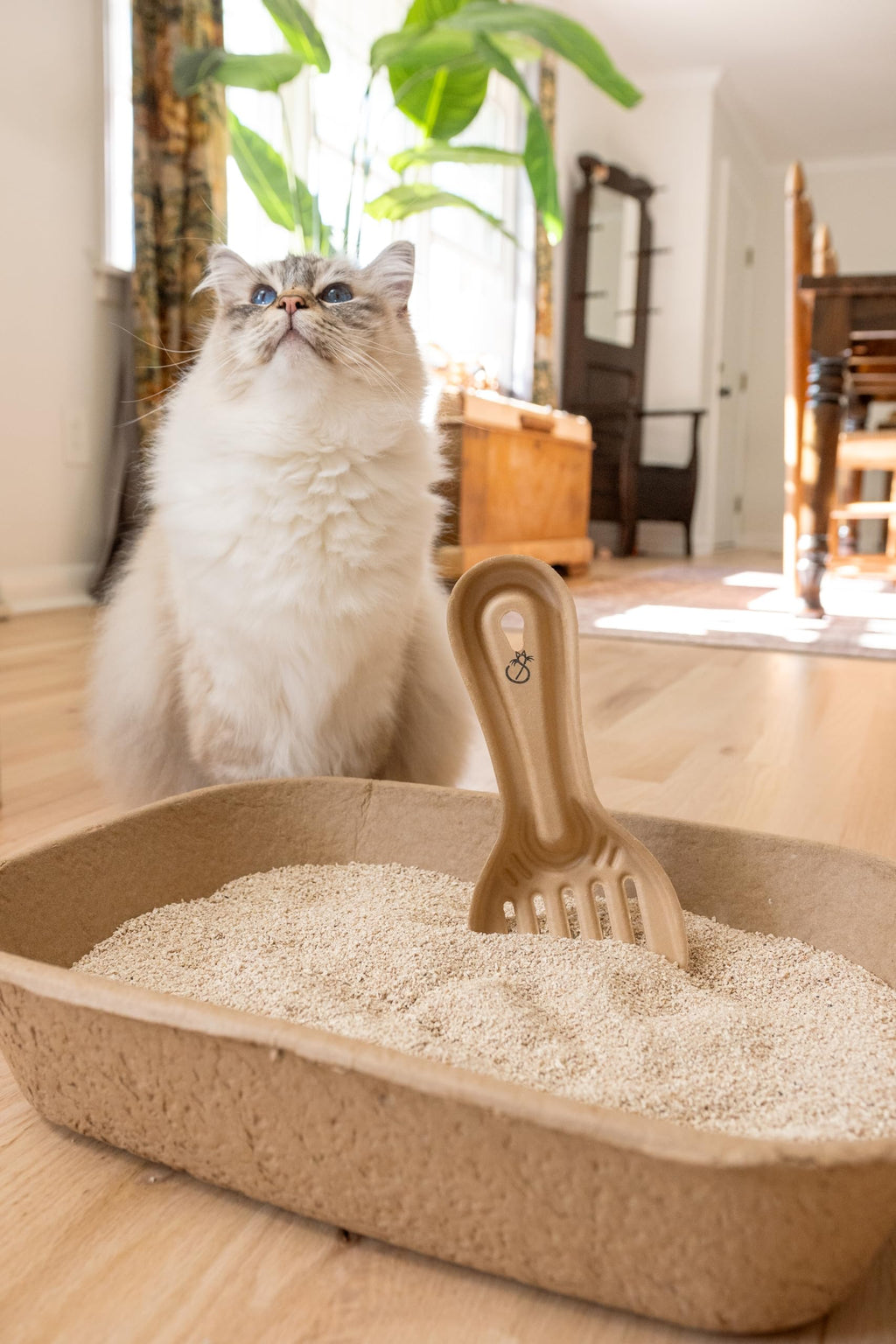Disposable Cat & Rabbit Litter Scoops 6-Pack S53769