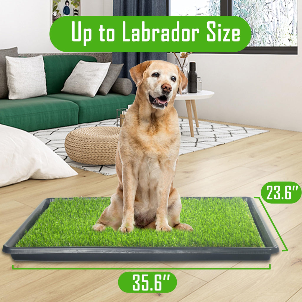 Reusable Artificial Grass Dog Loo System with Tray and Pee Pads, 35x23in B94796