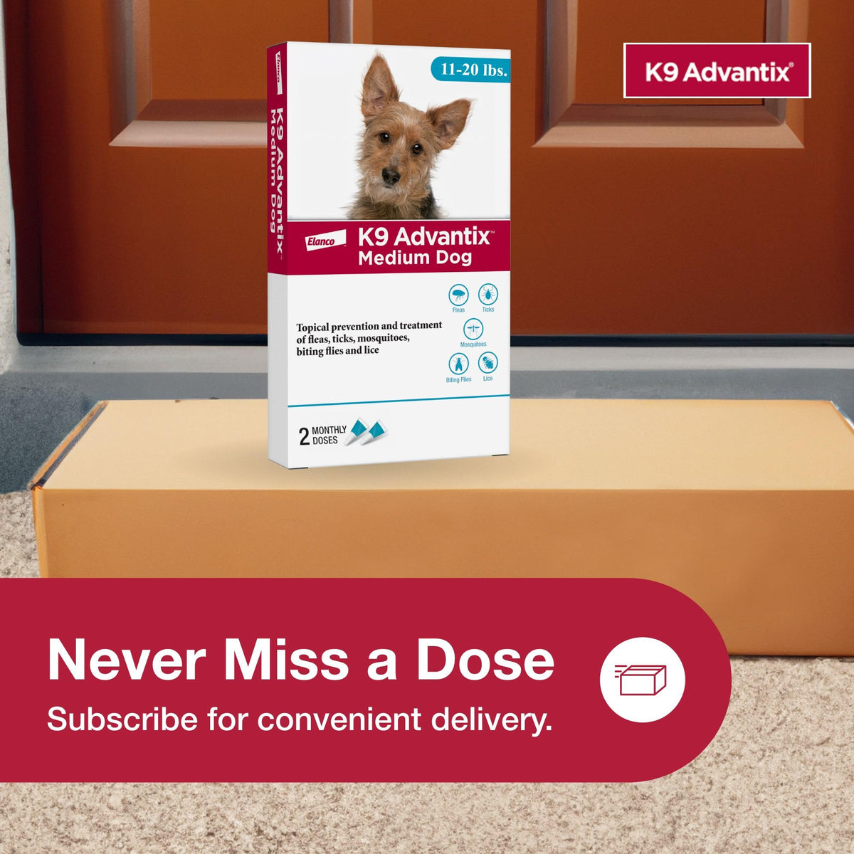 Flea and Tick Prevention Drops for Dogs 11-20 lbs D525597