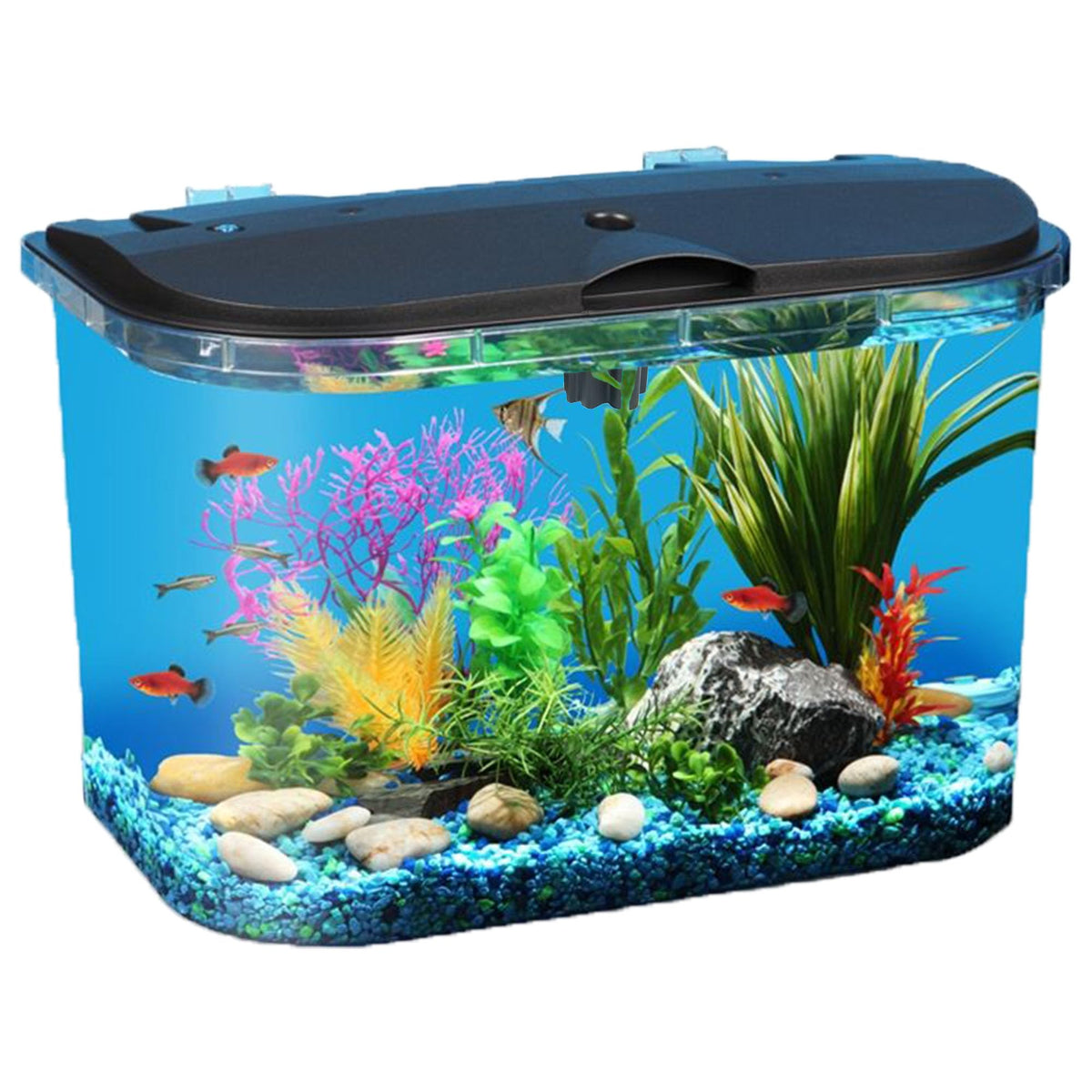 5-Gallon Aquarium Kit with LED Lighting and Power Filter D7591